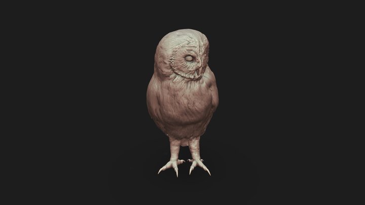Short eared owl 3D Model