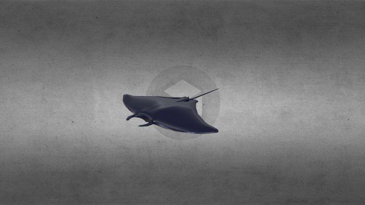 Manta Ray 3D Model