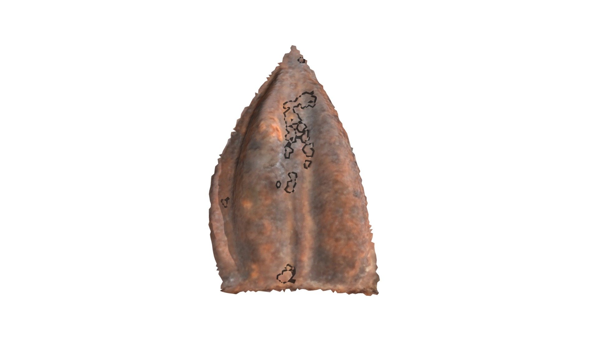 C12 - aurochs MNIR — Sketchfab embed 3D viewer