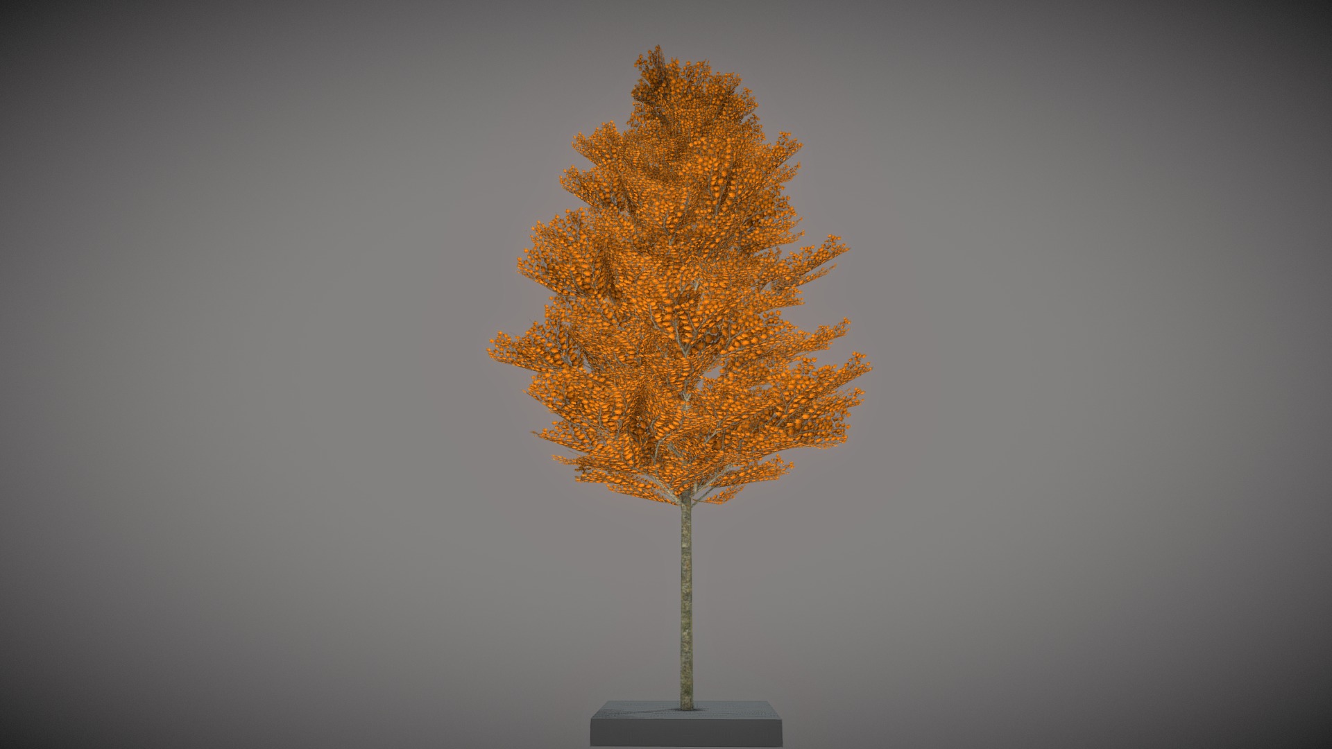 3D model Platane 12m Autumn - This is a 3D model of the Platane 12m Autumn. The 3D model is about a tree with orange leaves.