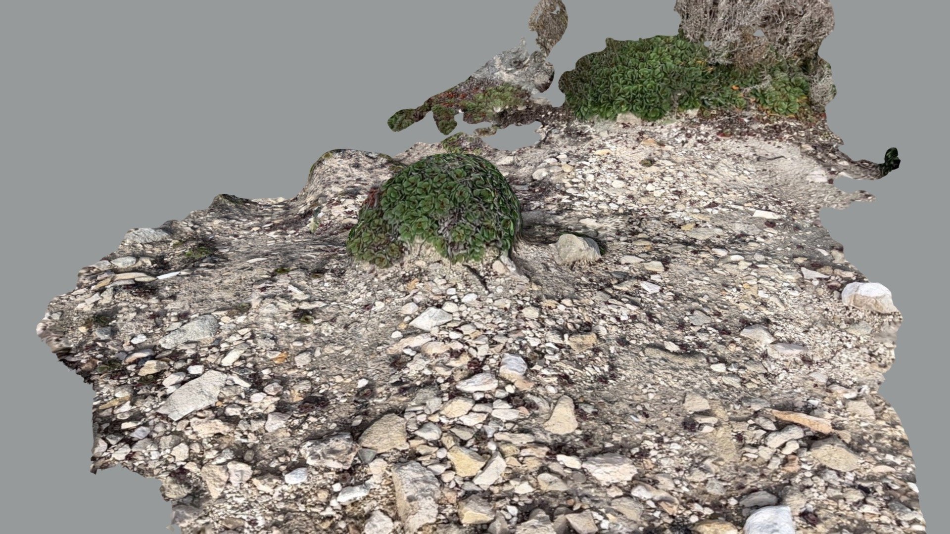 Beach-rocks12