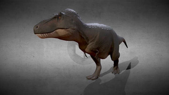 Tyrannosaurus 3D Model