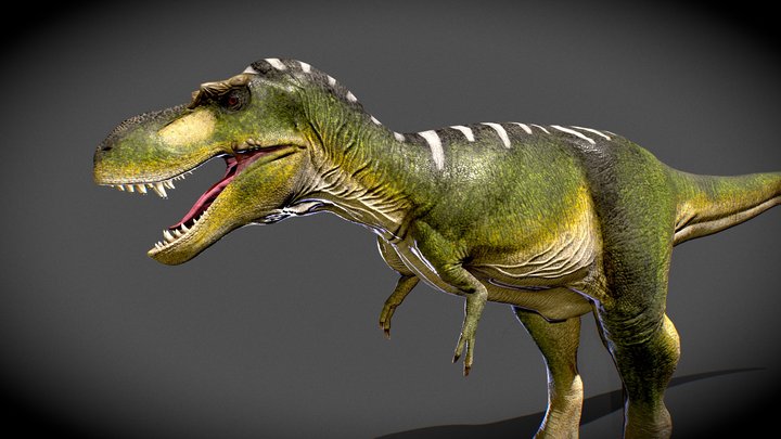 Albertosaurus (For animation) 3D Model