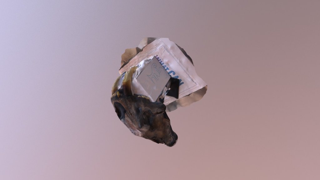 Upper jaw
