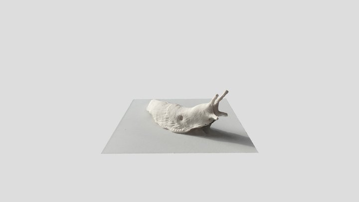 Slug Model 3D Model