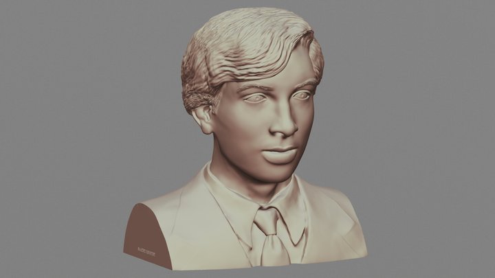 Bust of S. P. 3D Model