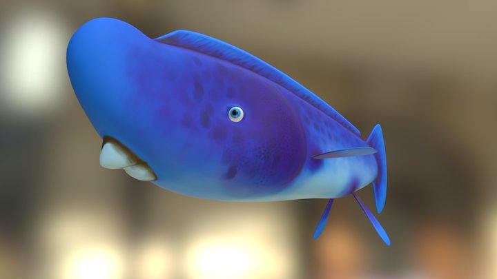 Paul the Parrotfish 3D Model