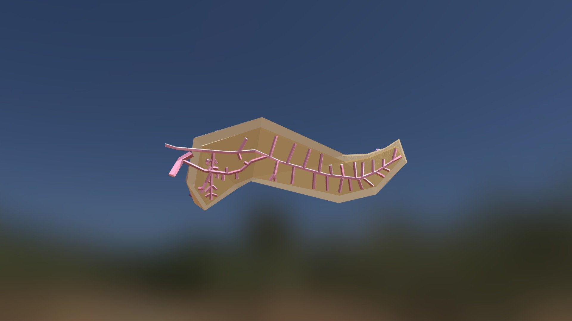 Pancreas