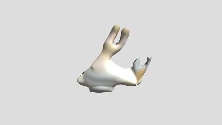 burrowing bear underground 3D Model