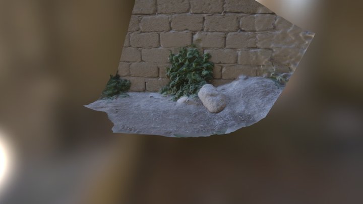 Model-photogrammetry-scan 3D models - Sketchfab