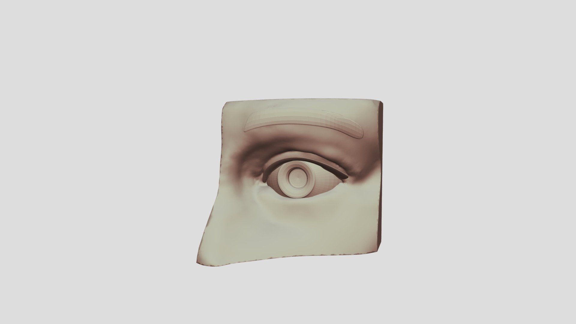 Anatomy Practice Day 1