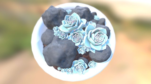 Succulents! 3D Model