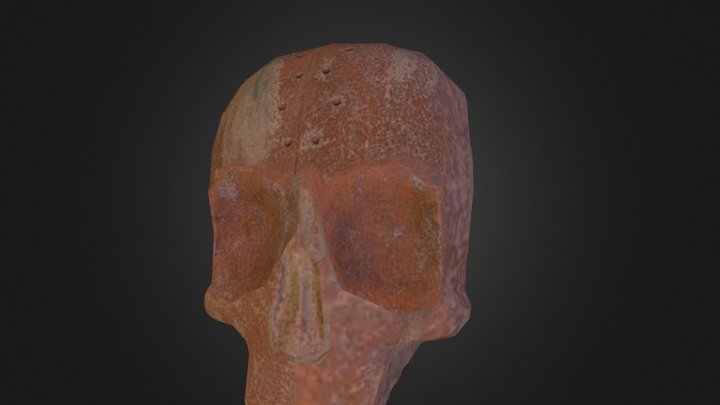 Skull Project 3D Model
