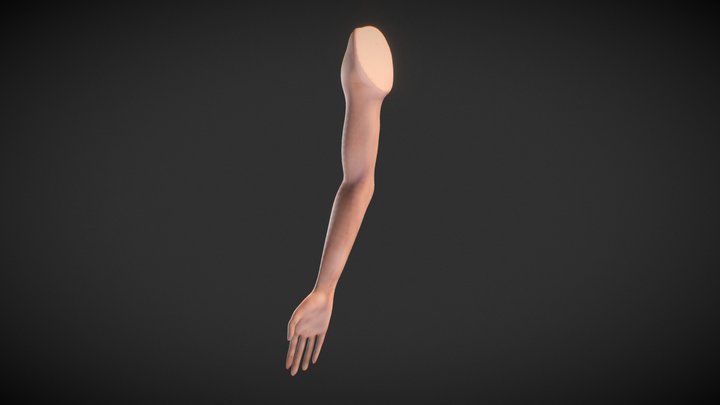 Female Arm base mesh 3D Model