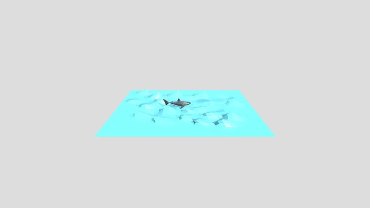 Tiburón con textura 3D Model