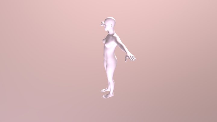 Prova3d 3D Model