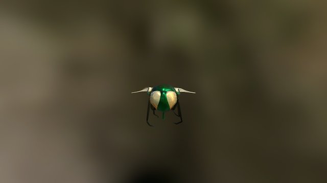 Musca 3D models - Sketchfab