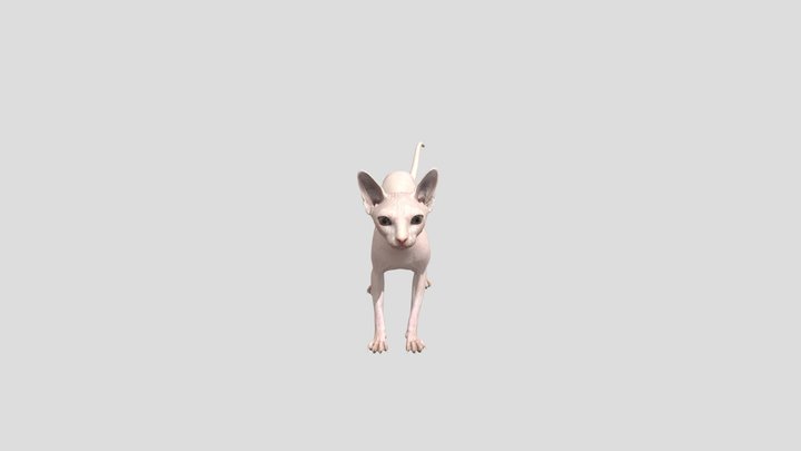 Adoptmepets 3D models - Sketchfab