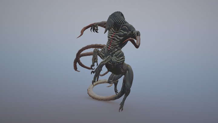 Rash 3D Model