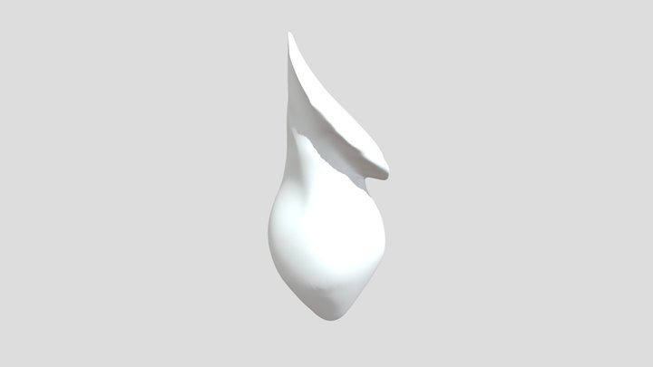 VERSÃO 1 - OGIVA ALTA 3D Model