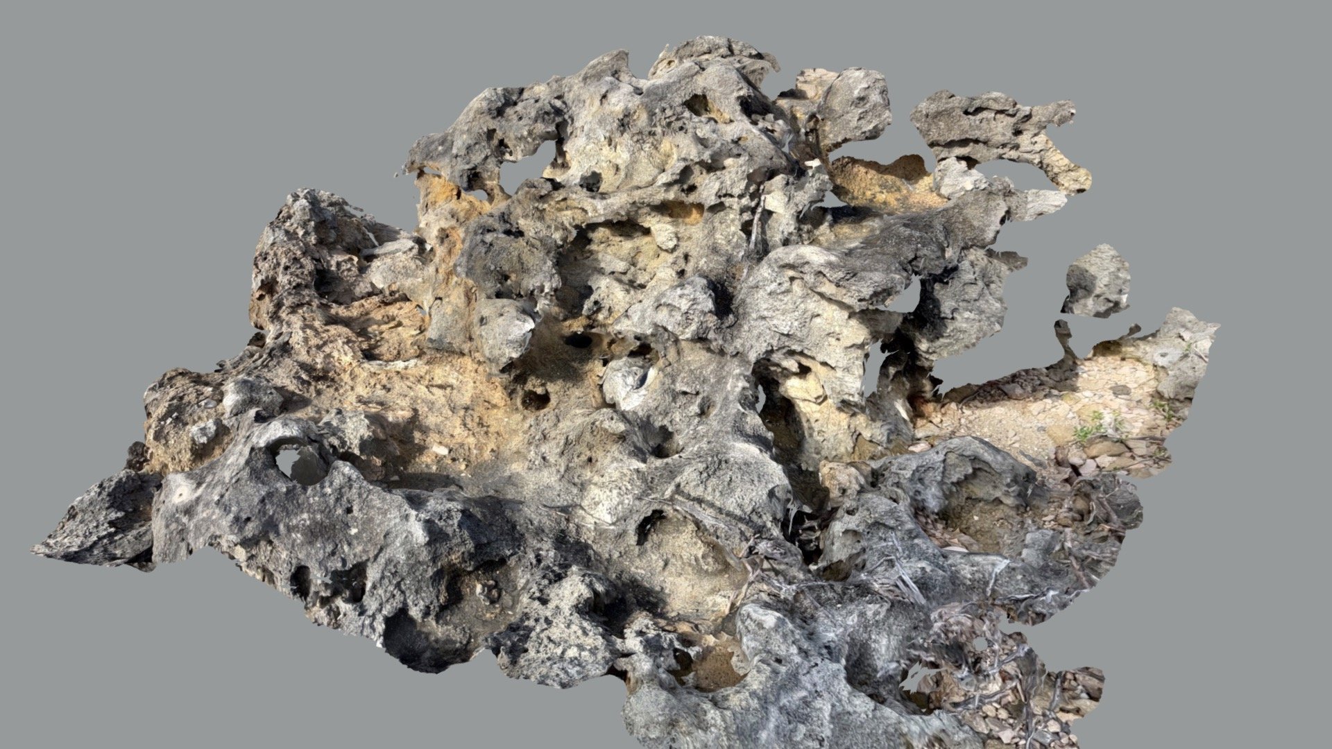 Beach-rocks11