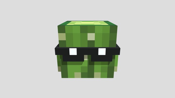 CACTOUS the CACTUS 3D Model