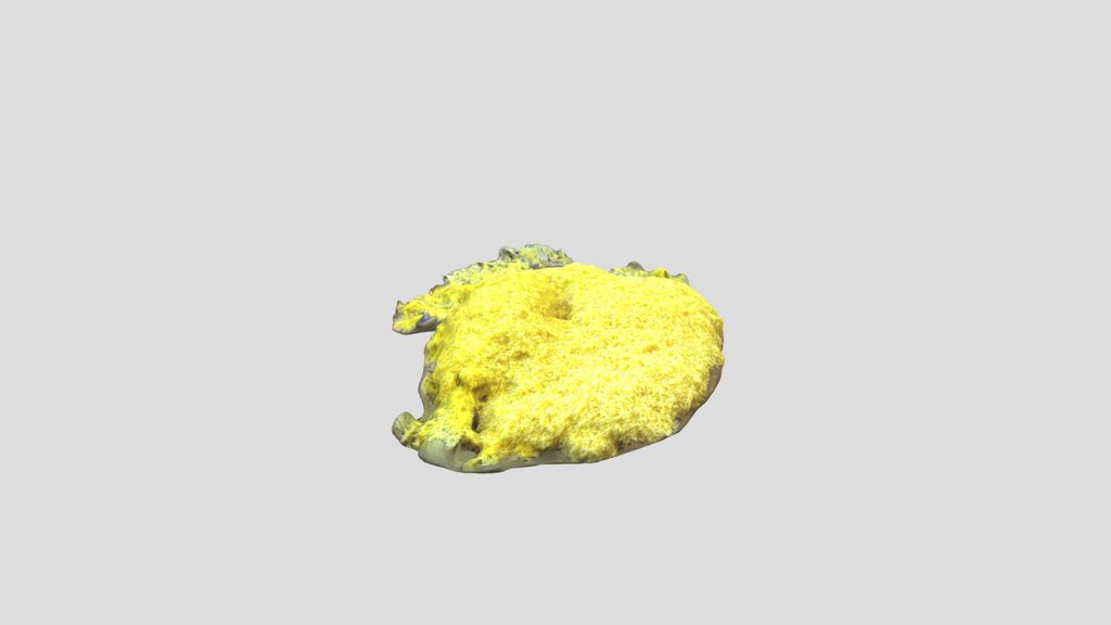 Dog vomit slime mold Kiri masked