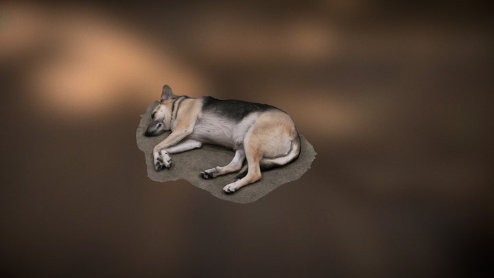 Sleeping Floof 3D Model