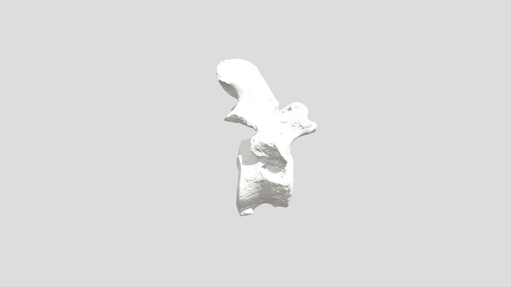 шейный позвонок фомин низкое качество 3D Model