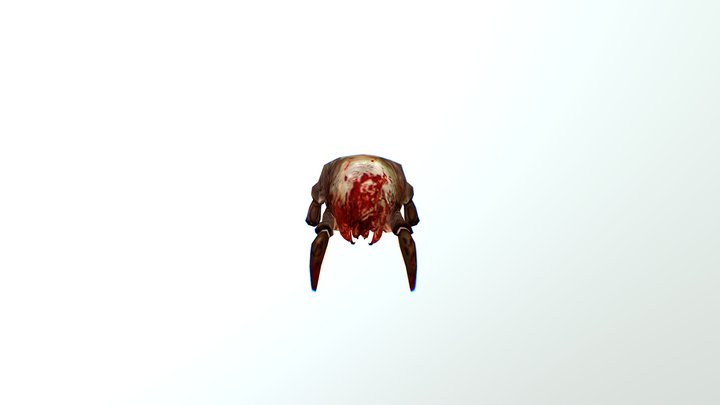 HL2-beta headcrab (2003) 3D Model