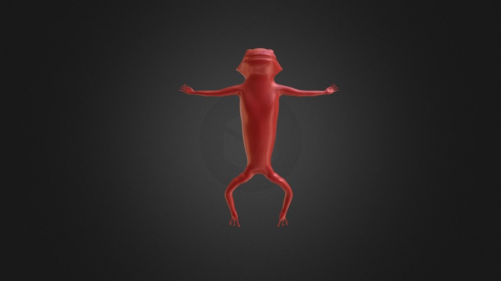 Salamander-esque Creature