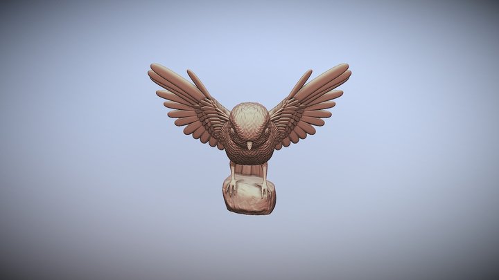 Bird 3D Model
