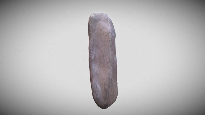 Núcleo posterior 3D Model