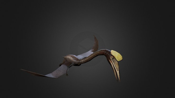 Quetzalcoatlus 3D Model