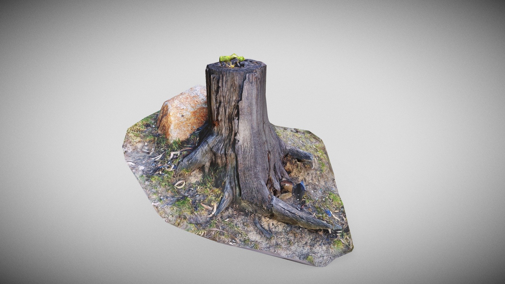 stump lp (photo scan)