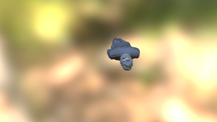 Scan 20 3D Model