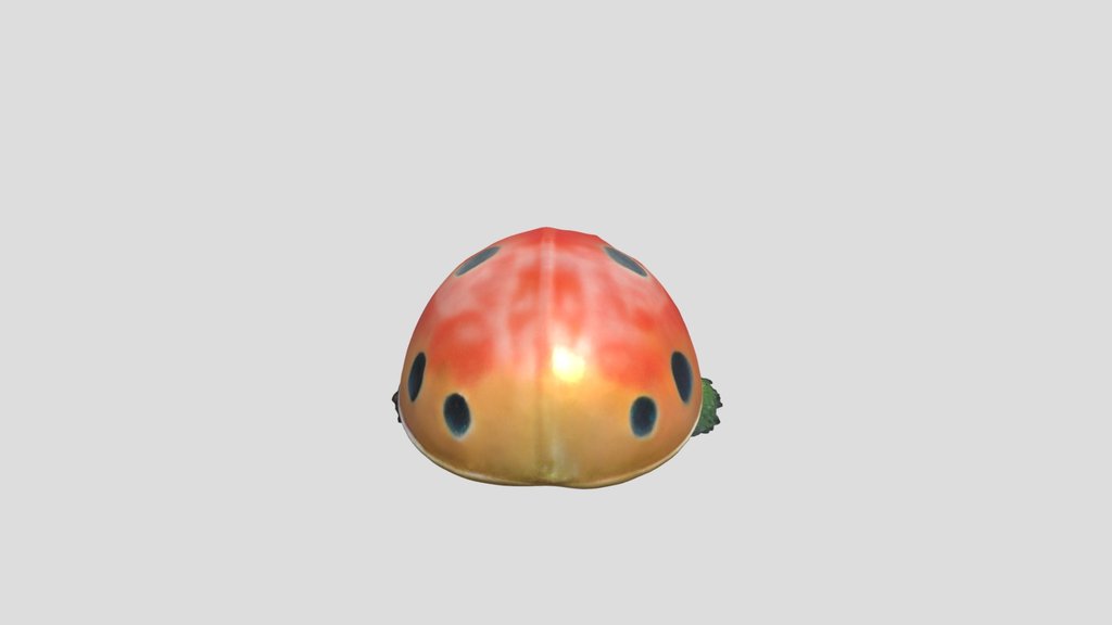 Real Lady Bug