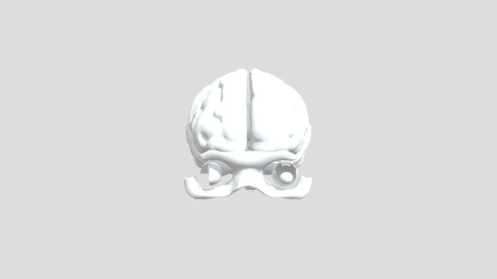 Brain and eye 3D Model