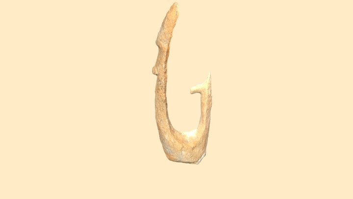 2 - Dønna 3D Model