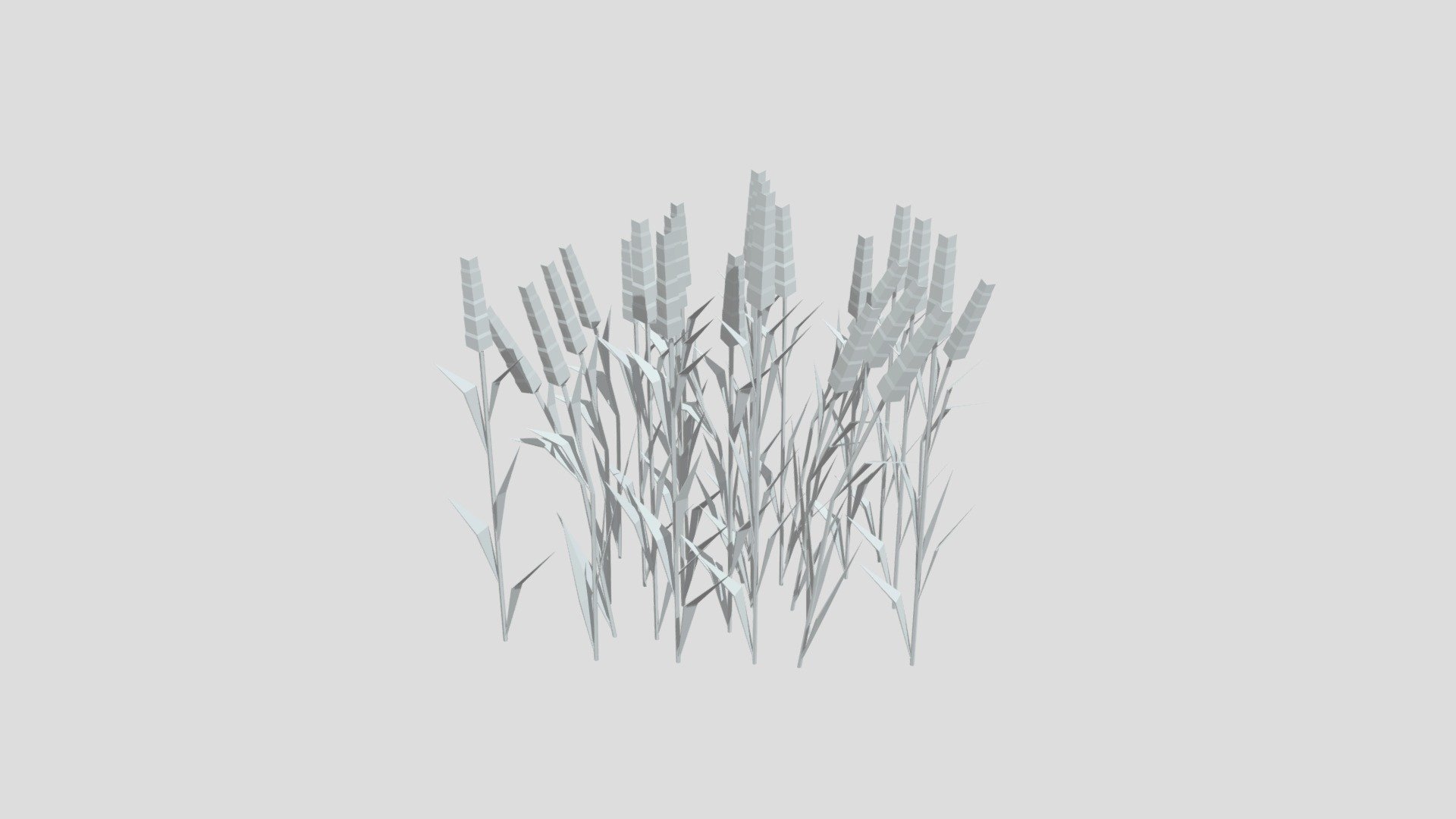 Field of wheat from Poly by Google