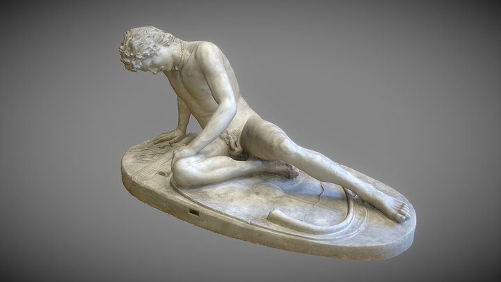 The Dying Gaul 3D Model