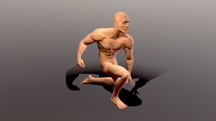 Portfolio 5 3D Model