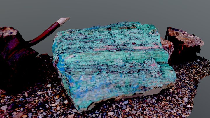 Petrified Wood With Copper 3D Model