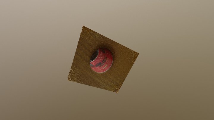 Tomato Soup 3D Model