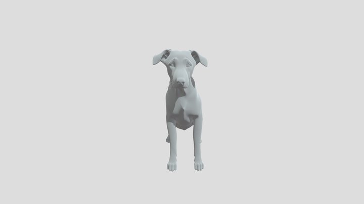 Dog 3D Model