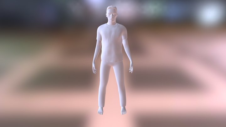 Human 3D Model