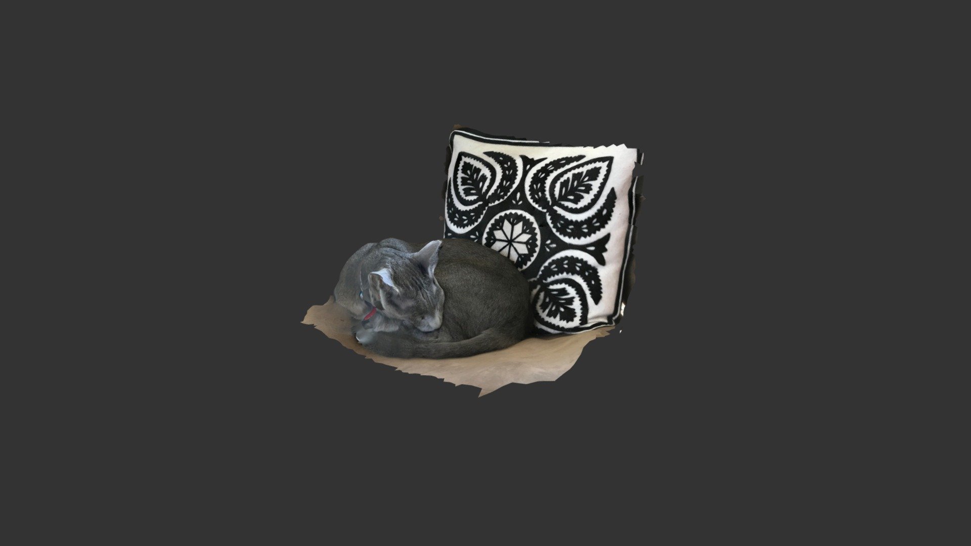 Sleeping Cat Scanned