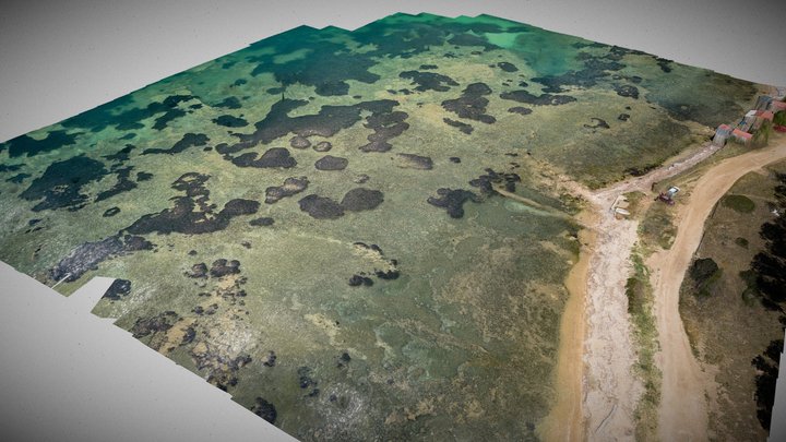 Marine shallow benthic coastal habitats 3D Model