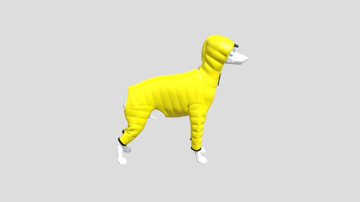 dog puffer plain 3D Model