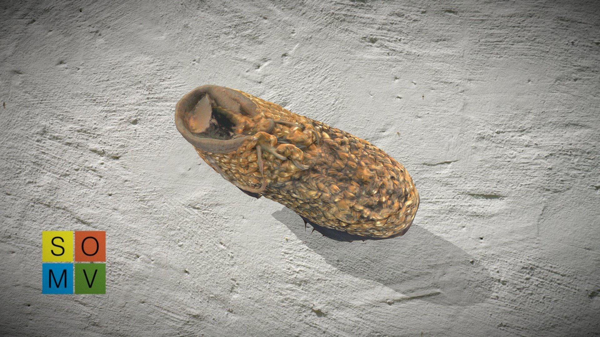 Schuh 1